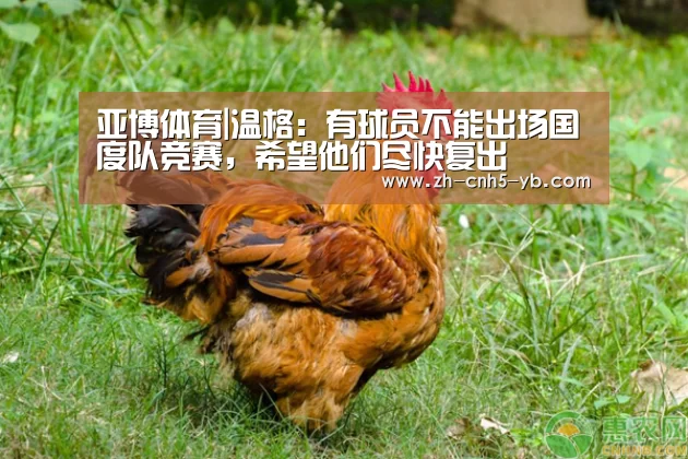 亚博体育|温格:有球员不能出场国度队竞赛,希望他们尽快复出(图1) 亚博体育