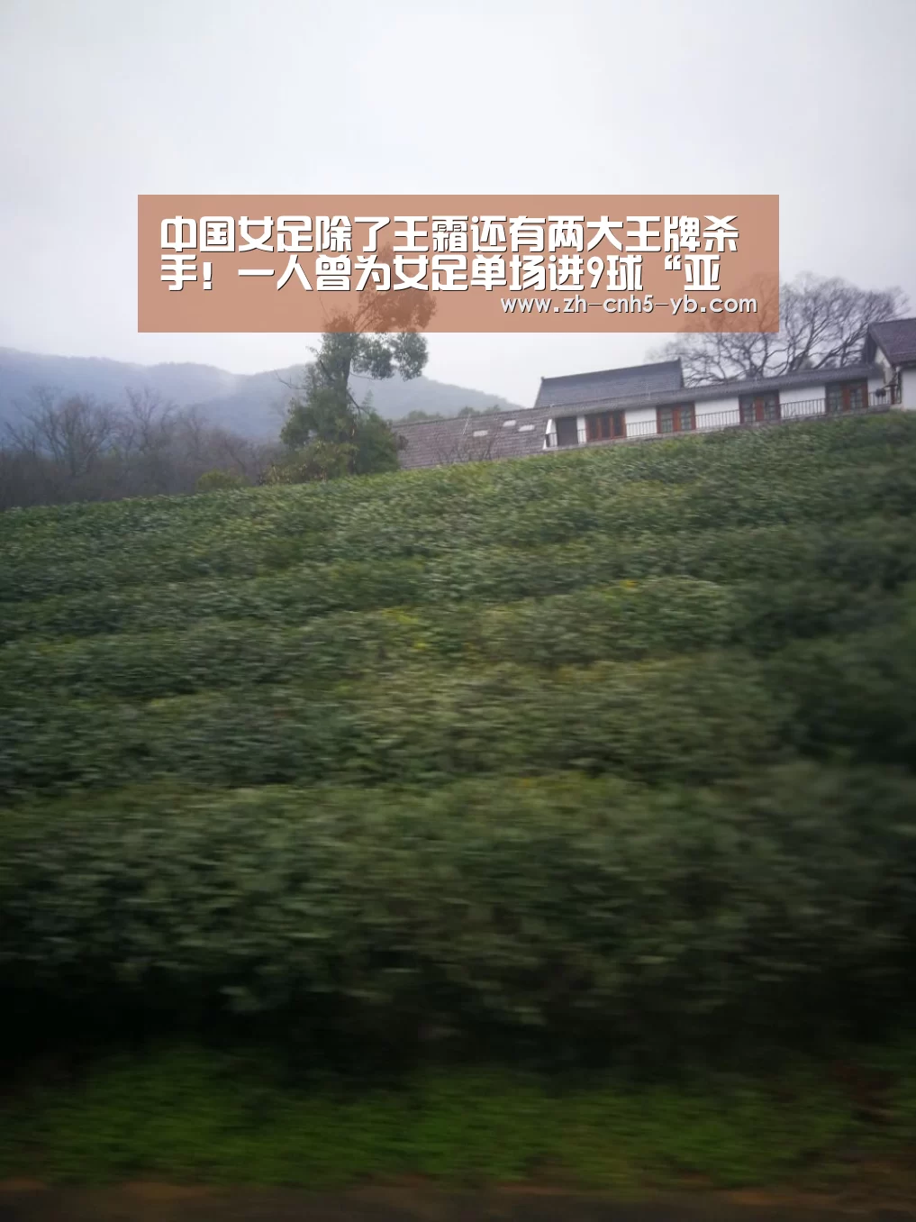 亚博