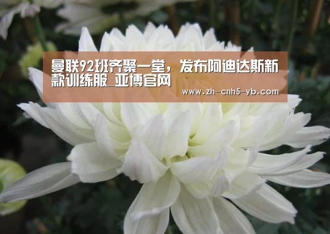 亚博官网