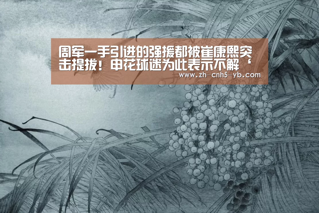周军一手引进的强援都被崔康熙突击提拔！申花球迷为此表示不解‘亚博’(图3)